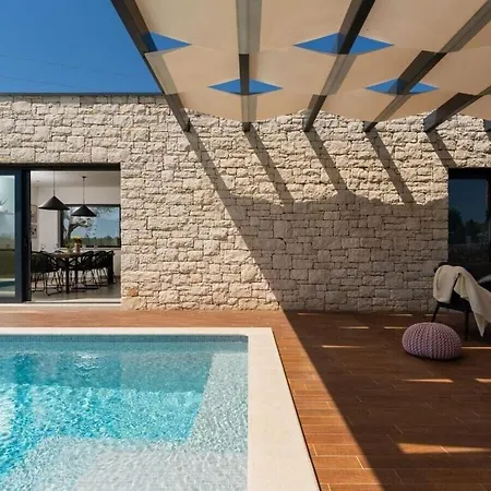 Ansi Exclusive Comfortable Holiday