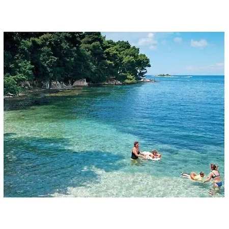 فيلة Ansi Exclusive Comfortable Holiday